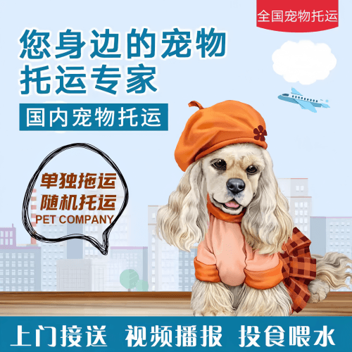 满财茂名市宠物全球达宠物托运作为专业的宠物运输代理机构